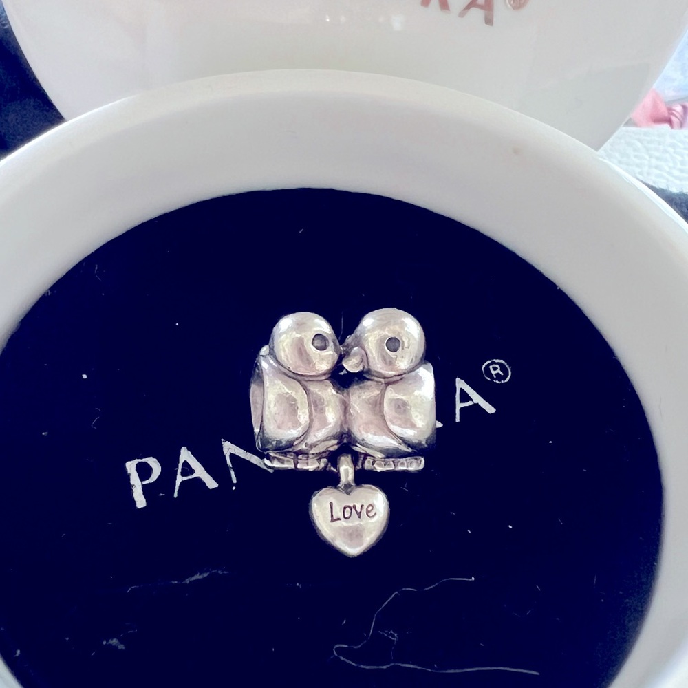 Authentic Ale 925 Love Birds Charms